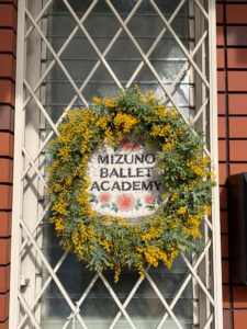 mizuno_ballet academy